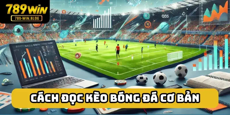 Hiểu bảng kèo cơ bản rất đơn giản Hiểu bảng kèo cơ bản rất đơn giản